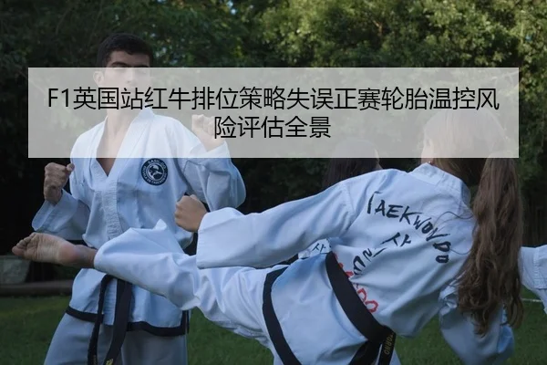 ying-guo-zhan-hong-niu-pai-wei-ce-lve-shi-wu-zheng-sai-lun-tai-wen-kong-feng-xian-ping-gu-quan-jing-2-177.jpg